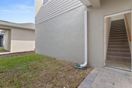 New construction Single-Family house 16294 Honey Harvest St, Winter Garden, FL 34787 null- photo 42 42