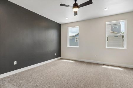 New construction Single-Family house 3047 Curly Grove, Colorado Springs, CO 80922 plan Primrose - image 15