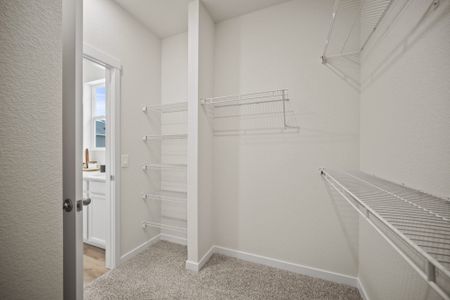 New construction Single-Family house 11924 Lost Peak Ln, Colorado Springs, CO 80925 plan Carnation - image 19