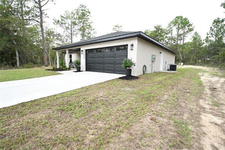 New construction Single-Family house 24433 Nw Tamarind Ln, Dunnellon, FL 34431 - image