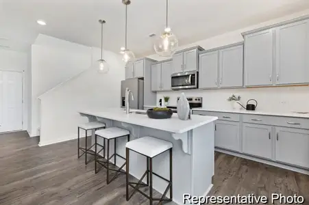 New construction Single-Family house 312 Jubilee Wy, Pageland, SC 29728 plan The Reeves - image