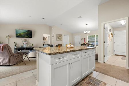 New construction Single-Family house 1861 Ne 160Th Pl, Citra, FL 32113 - image 14