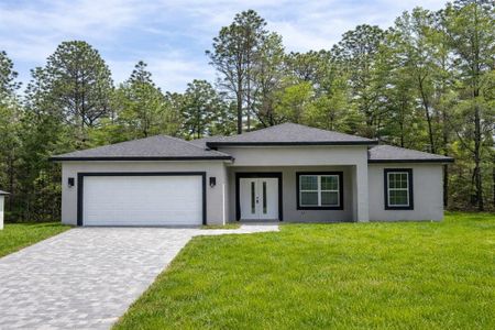 New construction Single-Family house 8649 N Zurich Wy, Citrus Springs, FL 34434 - image