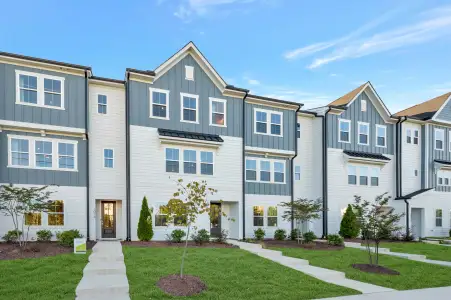 New construction Single-Family house 1012 Zelkova Ln, Chapel Hill, NC 27517 plan Nola - image