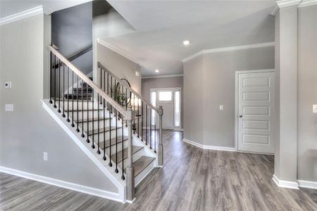 New construction Single-Family house 139 Elivia Way, Dallas, GA 30132 Lyndon- photo 8 8