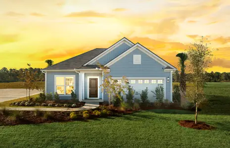 New construction Single-Family house 350 Pulaski Dr, Richmond Hill, GA 31324 plan Morgan - image