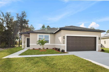 New construction Single-Family house 359 Camellia Ct, Poinciana, FL 34759 - image