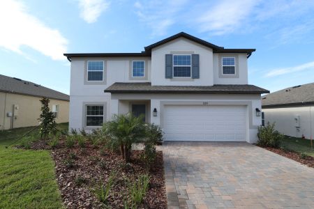 New construction Single-Family house 12219 Hilltop Farms Dr, Dade City, FL 33525 Malibu- photo 149 149