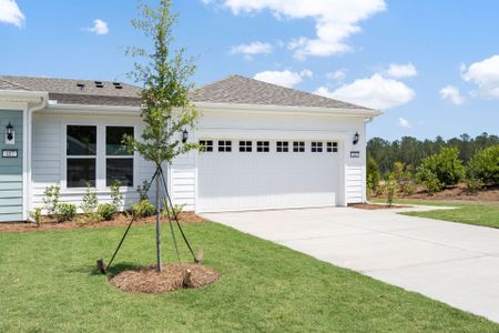 New construction Single-Family house 421 Walleye Blvd, Bluffton, SC 29909 plan Brilliance - image