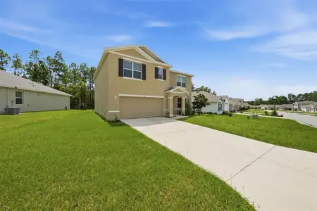New construction Single-Family house 62 Hickory Course Cir, Ocala, FL 34472 plan Hayden - image