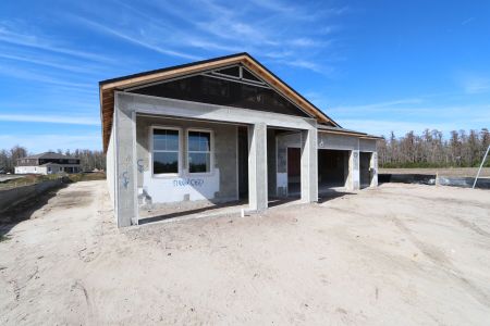 New construction Single-Family house 5867 Riverston Ave, Wesley Chapel, FL 33545 Corina  III Bonus- photo 67 67