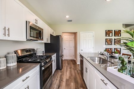 New construction Single-Family house 1756 Vanilla St, Haines City, FL 33844 plan Catalina - image 4