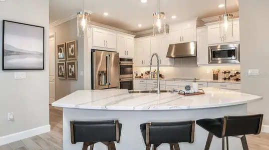 New construction Single-Family house 11236 Kingly Ln, Odessa, FL 33556 Abaco- photo 3 3