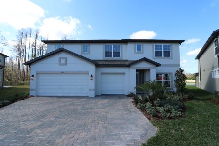 New construction Single-Family house 20125 Oriana Loop, Land O' Lakes, FL 34638 Santina II- photo 189 189