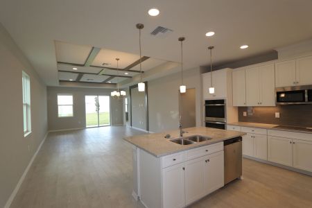 New construction Single-Family house 11855 Hilltop Farms Dr, Dade City, FL 33525 Picasso Bonus- photo 35 35