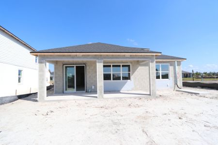 New construction Single-Family house 5691 Maydale Ave, Wesley Chapel, FL 33545 Santa Monica- photo 61 61