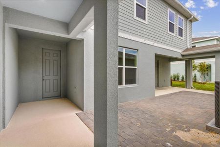 Hamlin Ridge by Dream Finders Homes in Winter Garden - photo 12 12