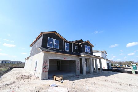 New construction Single-Family house 5691 Maydale Ave, Wesley Chapel, FL 33545 Santa Monica- photo 52 52