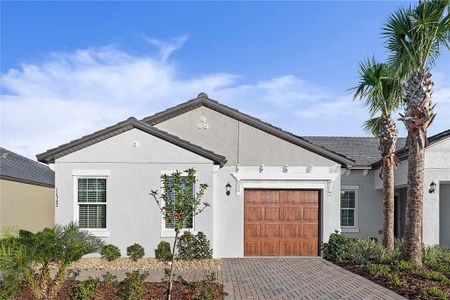 New construction Single-Family house 11342 Flora Crew Court, Land O' Lakes, FL 34638 Dayspring II*- photo 0