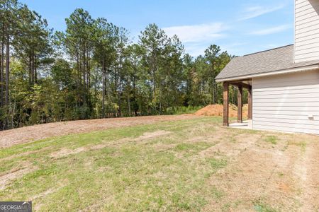 New construction Single-Family house 4583 Capulet Court, Forsyth, GA 31029 Cannaberra- photo 84 84