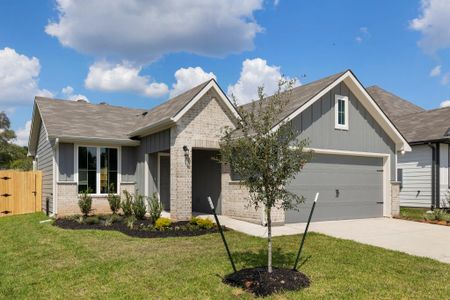 New construction Single-Family house 613 Rockbridge Dr, Huntsville, TX 77340 - image