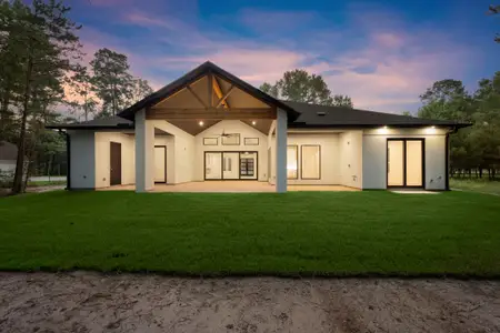 New construction Single-Family house 117 Sandpiper Dr, New Waverly, TX 77358 - image