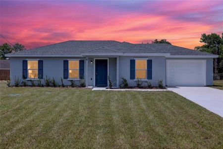 New construction Single-Family house 8 Oak Circle Trce, Ocala, FL 34472 - image