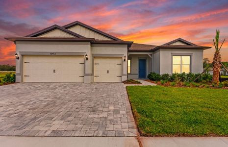 New construction Single-Family house 16412 Rustic Sky Dr, Spring Hill, FL 34610 plan Stellar - image