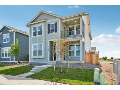New construction Single-Family house 4516 Burl St, Timnath, CO 80547 plan Vail - image