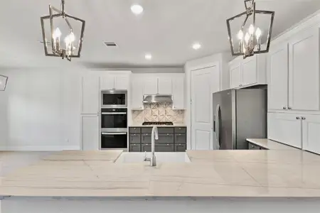 New construction Single-Family house 3905 Henley Ln, Garland, TX 75043 plan Spruce - image 13