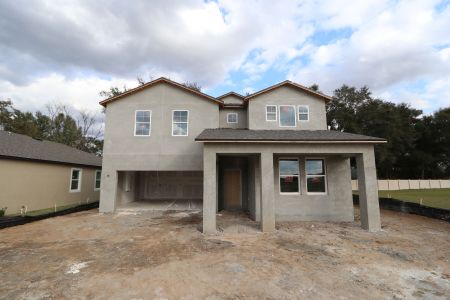 New construction Single-Family house 11984 Hilltop Farms Dr, Dade City, FL 33525 Casanova- photo 61 61