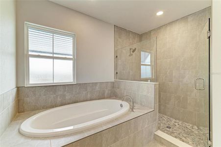 New construction Single-Family house 10245 Cross River Trl, Parrish, FL 34219 plan Verona - image 16