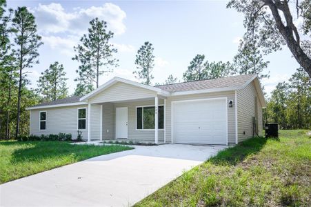 New construction Single-Family house 245 Oak Lane Way, Ocala, FL 34472 - photo 0