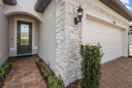 New construction Single-Family house 18722 Sailors Delight Pass, Land O' Lakes, FL 34638 - image