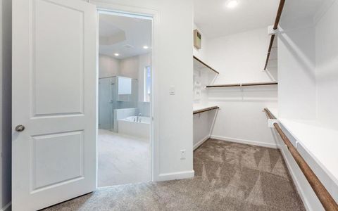 New construction Single-Family house 17204 Clover Dr, Celina, TX 75009 plan Santa Barbara - image 12