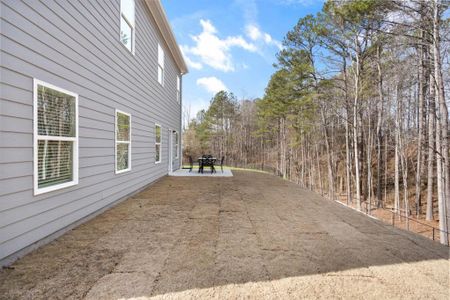 New construction Single-Family house 245 Silver Leaf Trace, Douglasville, GA 30134 Ellijay- photo 39 39