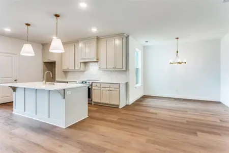 New construction Single-Family house 850 Meadow Place Dr, Willow Park, TX 76087 - image 7