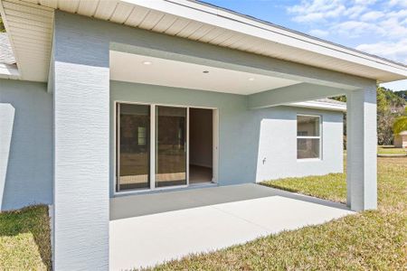 New construction Single-Family house 158 Palmwood Dr, Palm Coast, FL 32164 null- photo 33 33