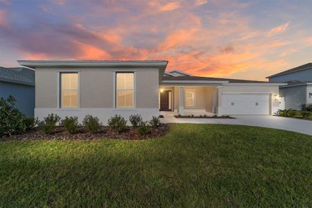 New construction Single-Family house 5692 Sw 74Th Ave, Ocala, FL 34474 - image