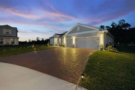 New construction Single-Family house 5897 Sierra Crown St, Mount Dora, FL 32757 - image