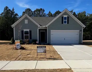New construction Single-Family house 1640 Elk Run Dr, Fayetteville, NC 28312 - image