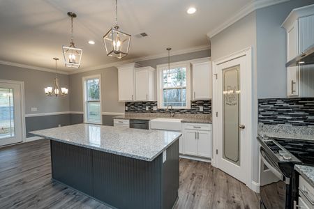 New construction Single-Family house 240 Hart Cut Rd, Slater-Marietta, SC 29661 plan Roosevelt Elite - image 8