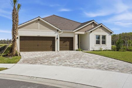 New construction Single-Family house 35889 Emberview Dr, Zephyrhills, FL 33541 plan Saint Croix - image