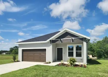 New construction Single-Family house 9211 Northcliffe Blvd, Spring Hill, FL 34606 - image
