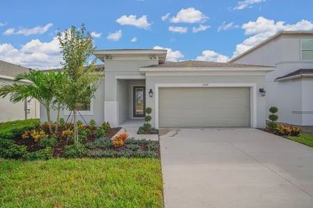 New construction Single-Family house 2949 Stewart Creek Cir, Plant City, FL 33565 plan Alpine - image