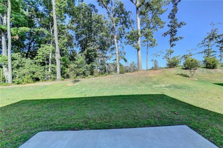 New construction Single-Family house 226 Peregrine Pt, Braselton, GA 30517 null- photo 53 53