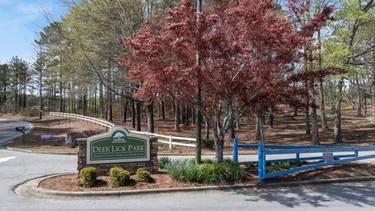 New construction Single-Family house 3949 Fairhaven Rd, Lithia Springs, GA 30122 CALI- photo 29 29
