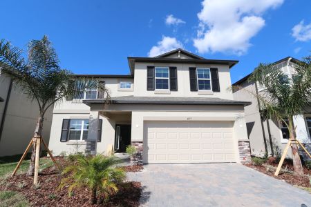 New construction Single-Family house 4877 Foxglove Cir, Lakeland, FL 33811 Alenza- photo 137 137