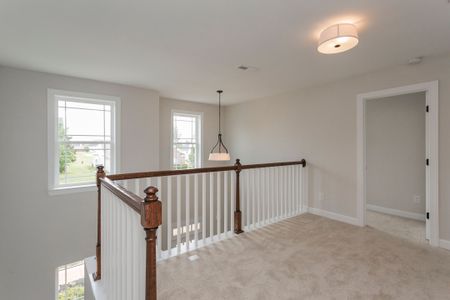 New construction Single-Family house 20 Shore Pine Dr, Youngsville, NC 27596 null- photo 29 29