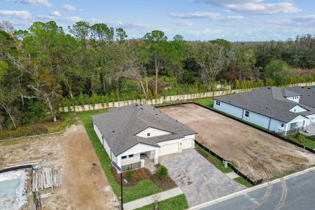 New construction Single-Family house 20219 Oriana Loop, Land O' Lakes, FL 34638 Corina  III- photo 144 144